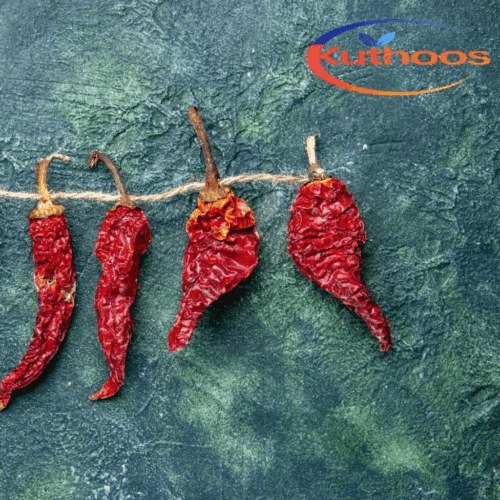 🌶️ Dry Chilli | Cili Kering badayagi🌶️ (Imported from India)