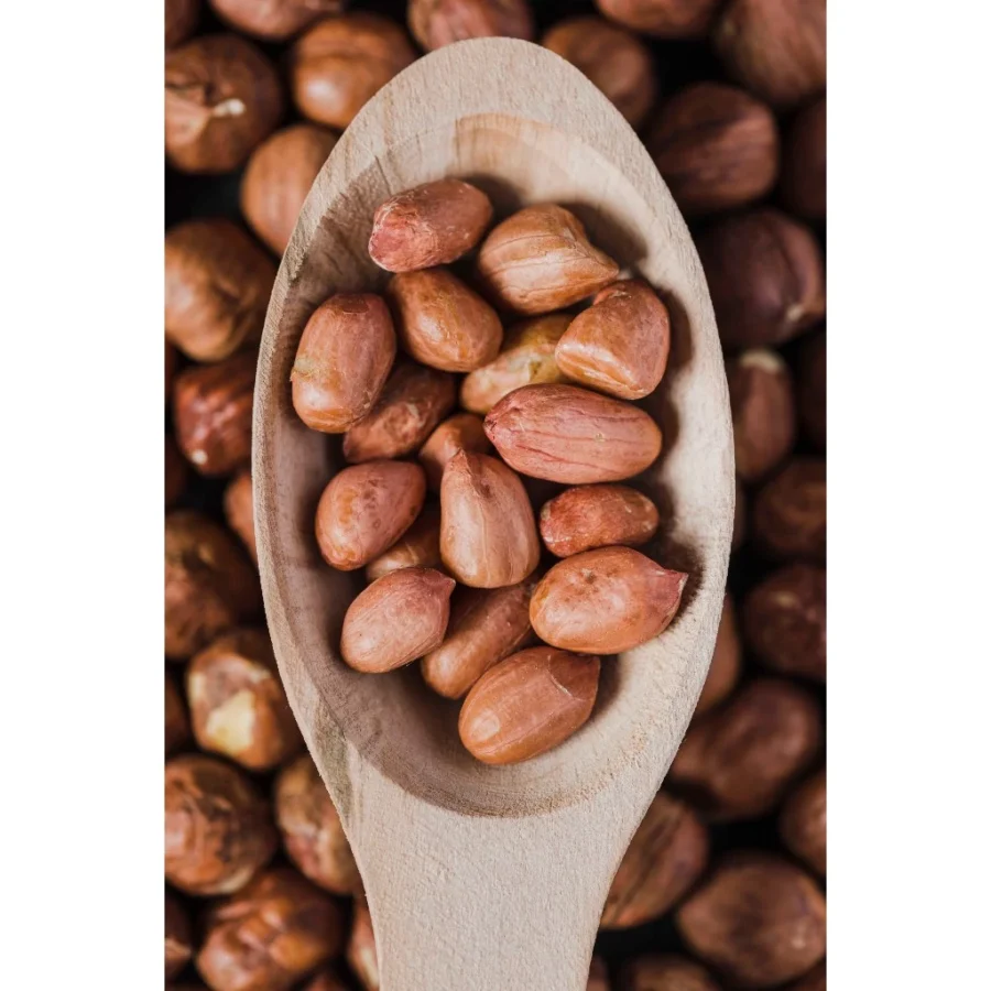 🥜 Peanut | Kacang Tanah🥜 - Image 2