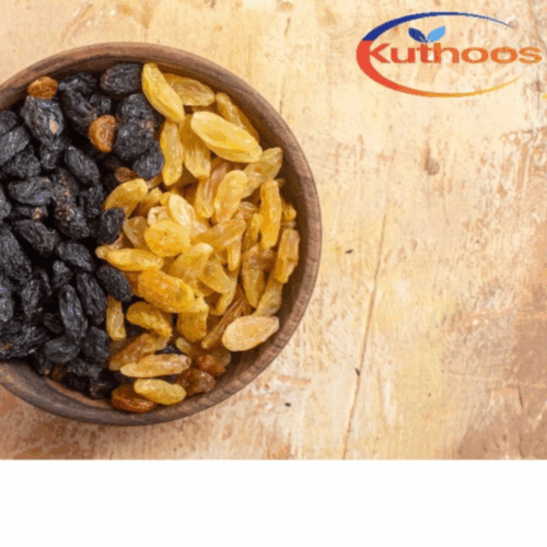 🍇 Dried Raisin | Kismis Kering 🍇