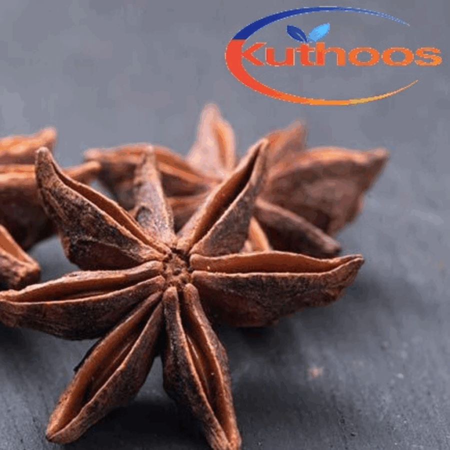 ✴️ Star Anise | Bunga Lawang ✴️ (Imported from India)